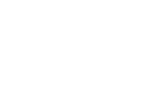 brandbeveiligingstiphout